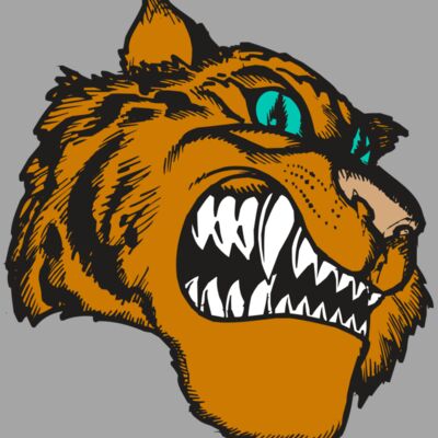 BAW TIGER 11 RC Thumbnail