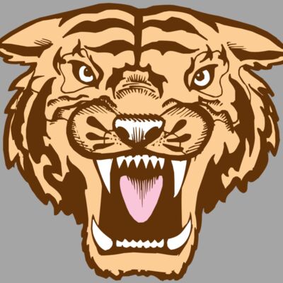 BAW TIGER 05 RC Thumbnail