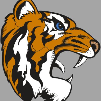 BAW TIGER 08 RC Thumbnail
