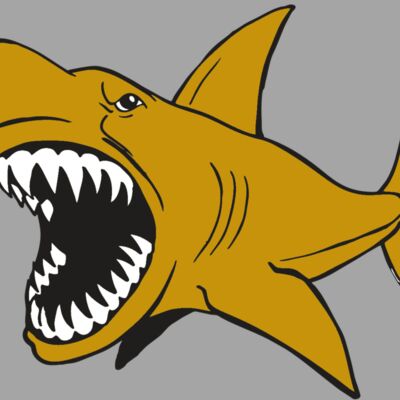 AR  SHARK 21 RC Thumbnail