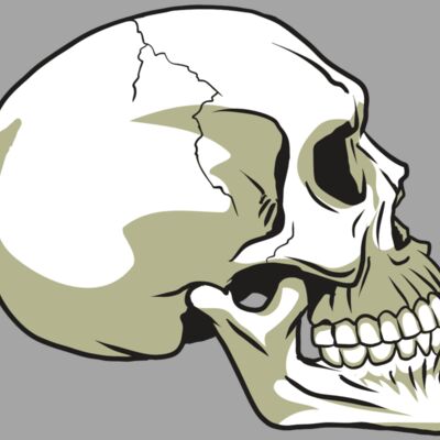 AR24 SKULL 12 RQC Thumbnail