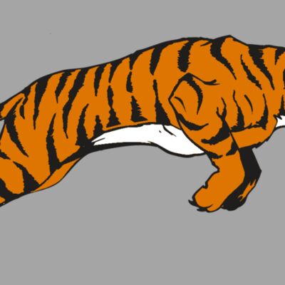 AR TIGER 79 RC Thumbnail