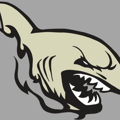 AR5 Shark 08 RQC Thumbnail