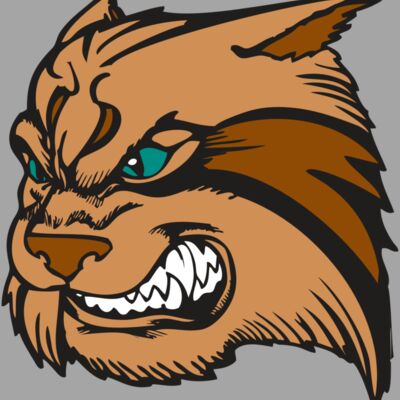 BAW WILDCAT 05 RC Thumbnail