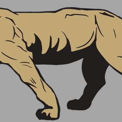 AR10 PANTHER 04 RQC Thumbnail