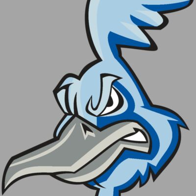 ROADRUNNER HD0501 RQC Thumbnail
