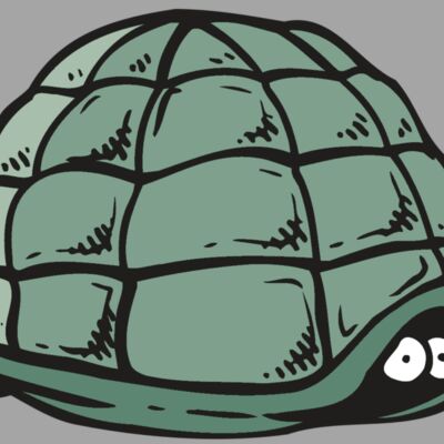AR5 Turtle 10 RQC Thumbnail