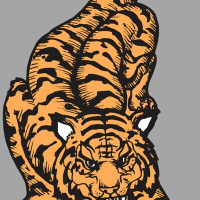 BAW TIGER 01 RC Thumbnail