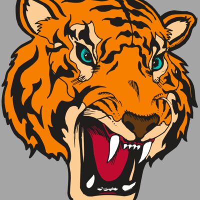 BAW TIGER 12 RC Thumbnail