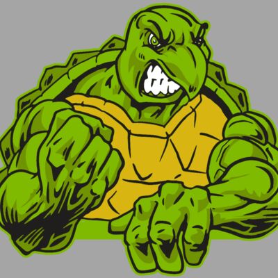 AR31 TURTLE 01 RQC Thumbnail