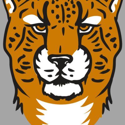 AR32 CHEETAH 01 RQC Thumbnail