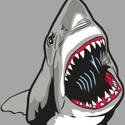 AR20 SHARK 45 RQC Thumbnail