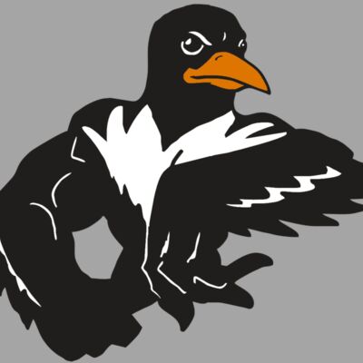 AR ORIOLE 22 RC Thumbnail