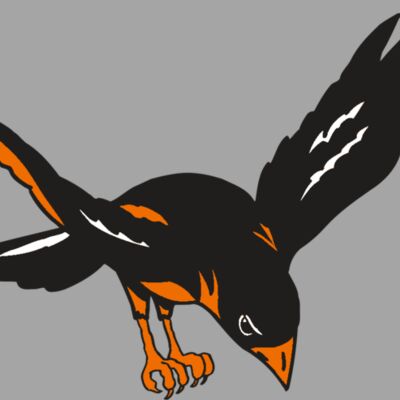 AR ORIOLE 16 RC Thumbnail