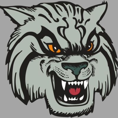 BAW WILDCAT 03 RC Thumbnail