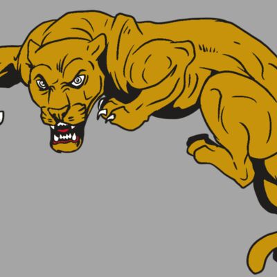 AR10 PANTHER 02 RQC Thumbnail