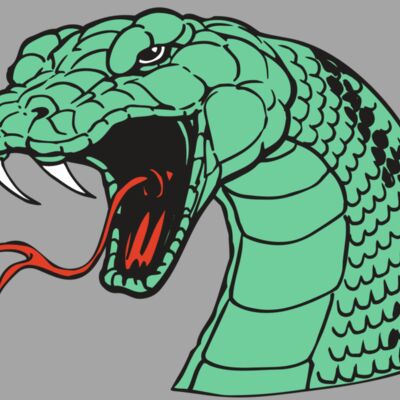AR SNAKE 10 RC Thumbnail