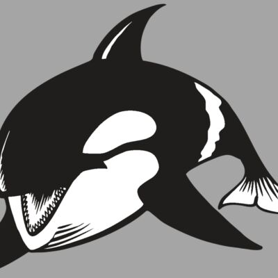 BAW KLRWHALE 04 RC Thumbnail