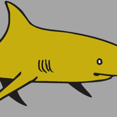 AR  SHARK 30 RC Thumbnail