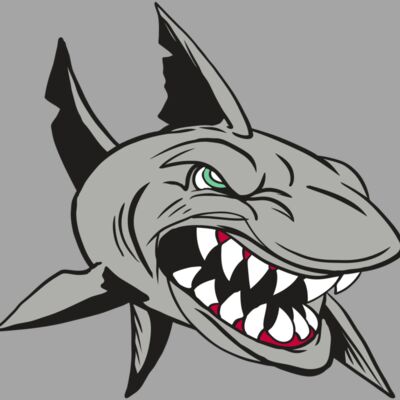 AR4 SHARK 01 RQC Thumbnail