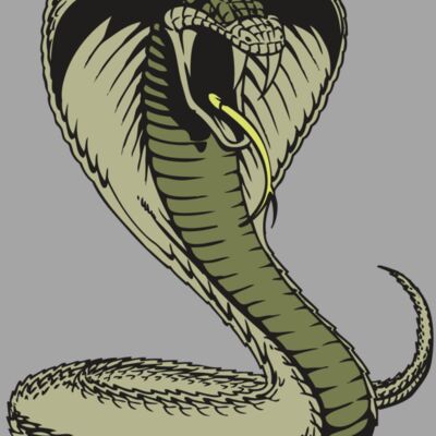 BAW SNAKE 07 RC Thumbnail