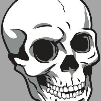 AR24 SKULL 14 RQC Thumbnail