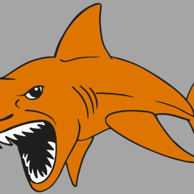 AR  SHARK 20 RC Thumbnail