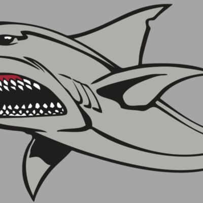 BAW SHARK 03 RC Thumbnail