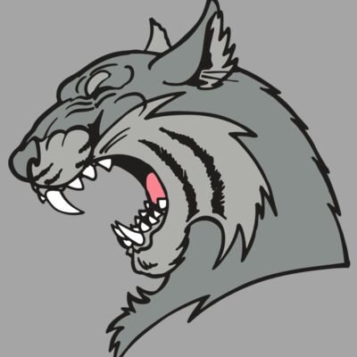 AR WILDCAT 41 RC Thumbnail