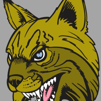 BAW BOBCAT 05 RC Thumbnail