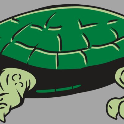 AR32 TURTLE 01 RQC Thumbnail