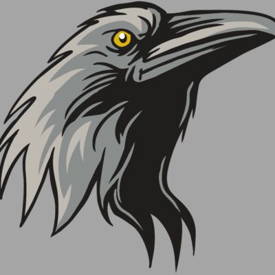 AR31 RAVEN 01 RQC Thumbnail