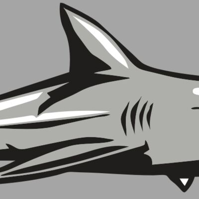 AR9 SHARK 01 RQC Thumbnail