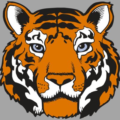 BAW TIGER 02 RC Thumbnail