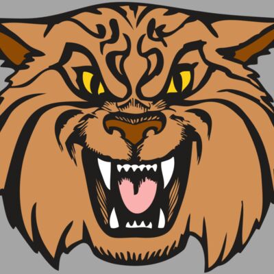 BAW WILDCAT 04 RC Thumbnail