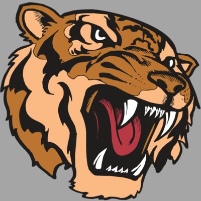 BAW TIGER 07 RC Thumbnail