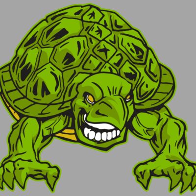 AR31 TURTLE 03 RQC Thumbnail