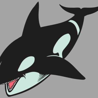 BAW KLRWHALE 02 RC Thumbnail