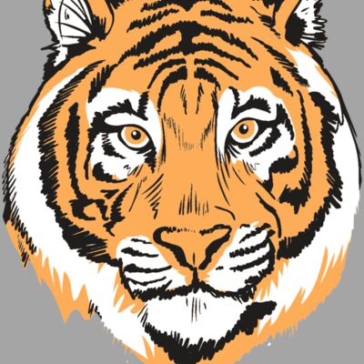 AR9 TIGER HEAD RQC Thumbnail