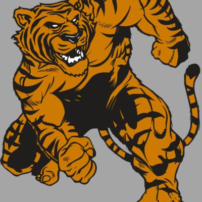 AR TIGER 58 RC Thumbnail