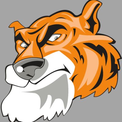 TIGER HD0501 RQC Thumbnail