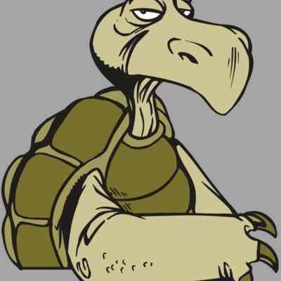 AR5 Turtle 01 RQC Thumbnail