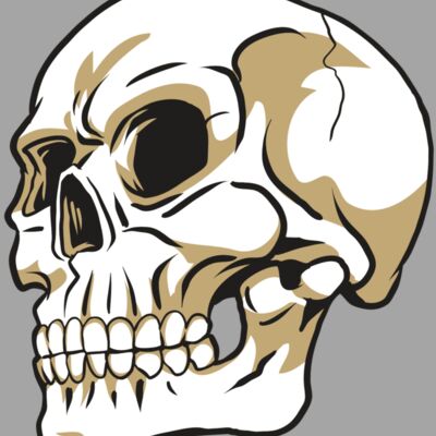 AR24 SKULL 08 RQC Thumbnail