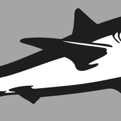 AR5 Shark 15 RQC Thumbnail