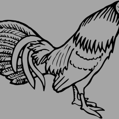 CHICK001 Thumbnail