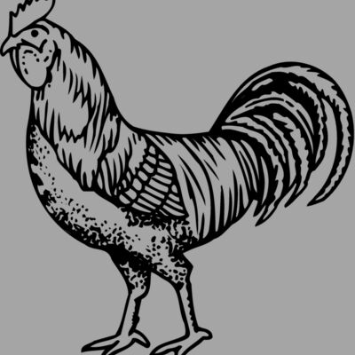 CHICK002 Thumbnail