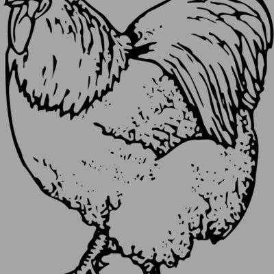 CHICK003 Thumbnail