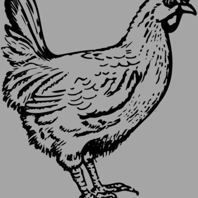 CHICK004 Thumbnail