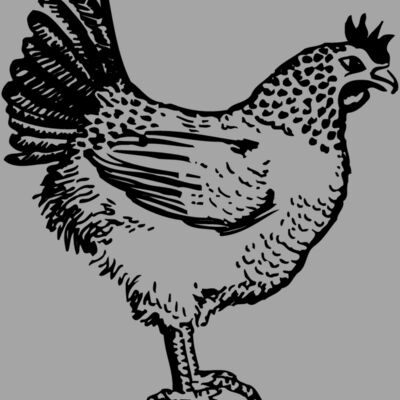 CHICK009 Thumbnail