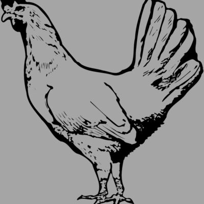 CHICK012 Thumbnail